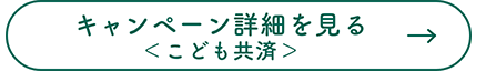 キャンペーン詳細を見る